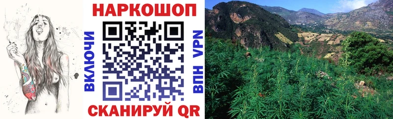 Магазины продажи наркотиков Микунь ГАШИШ  МАРИХУАНА  Кокаин  A PVP  Амфетамин  МЕФ 