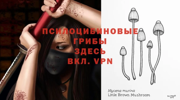 метадон Алексеевка