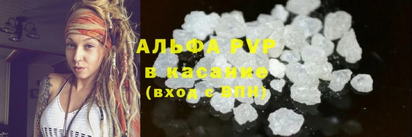 СК Алексин
