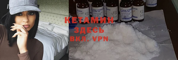 СК Алексин