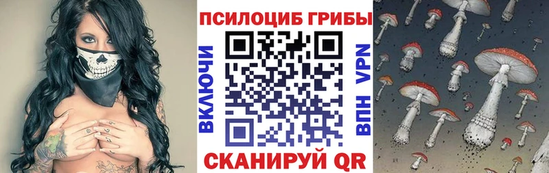 кракен рабочий сайт  Микунь  сайты даркнета официальный сайт  купить наркоту  Псилоцибиновые грибы ЛСД 